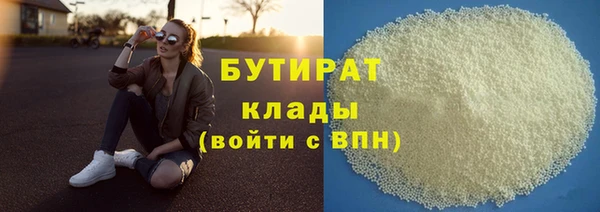 индика Краснослободск