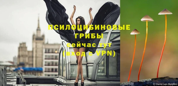 индика Краснослободск
