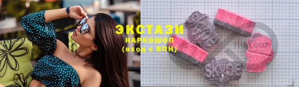 индика Краснослободск