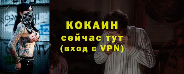индика Краснослободск