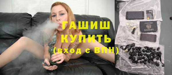 индика Краснослободск