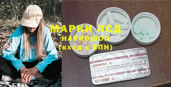 индика Краснослободск