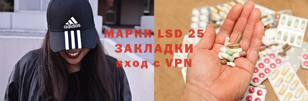 индика Краснослободск