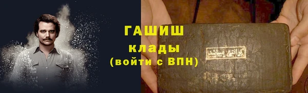 индика Краснослободск