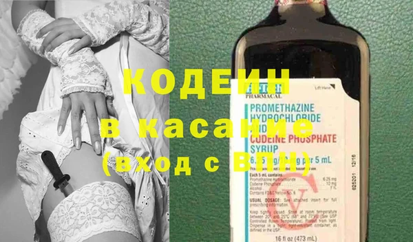 индика Краснослободск