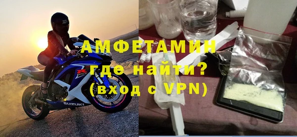 индика Краснослободск