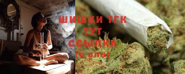 индика Краснослободск